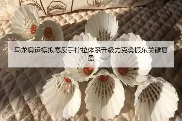 ma-long-ao-yun-mo-ni-sai-fan-shou-ning-la-ti-xi-sheng-ji-li-ke-fan-zhen-dong-guan-jian-fu-pan-2-676.jpg